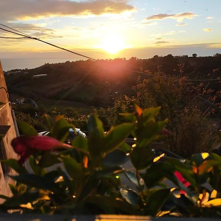 BnB La Casina dei Nonni Campofilone Esterno foto