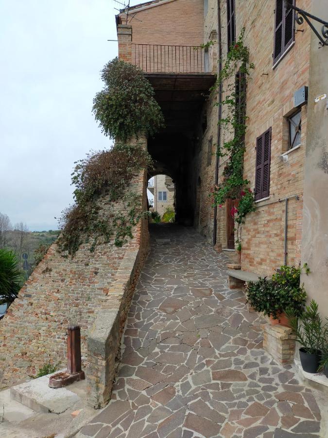BnB La Casina dei Nonni Campofilone Esterno foto