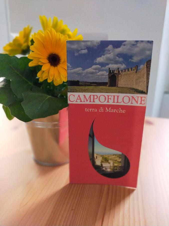 BnB La Casina dei Nonni Campofilone Esterno foto