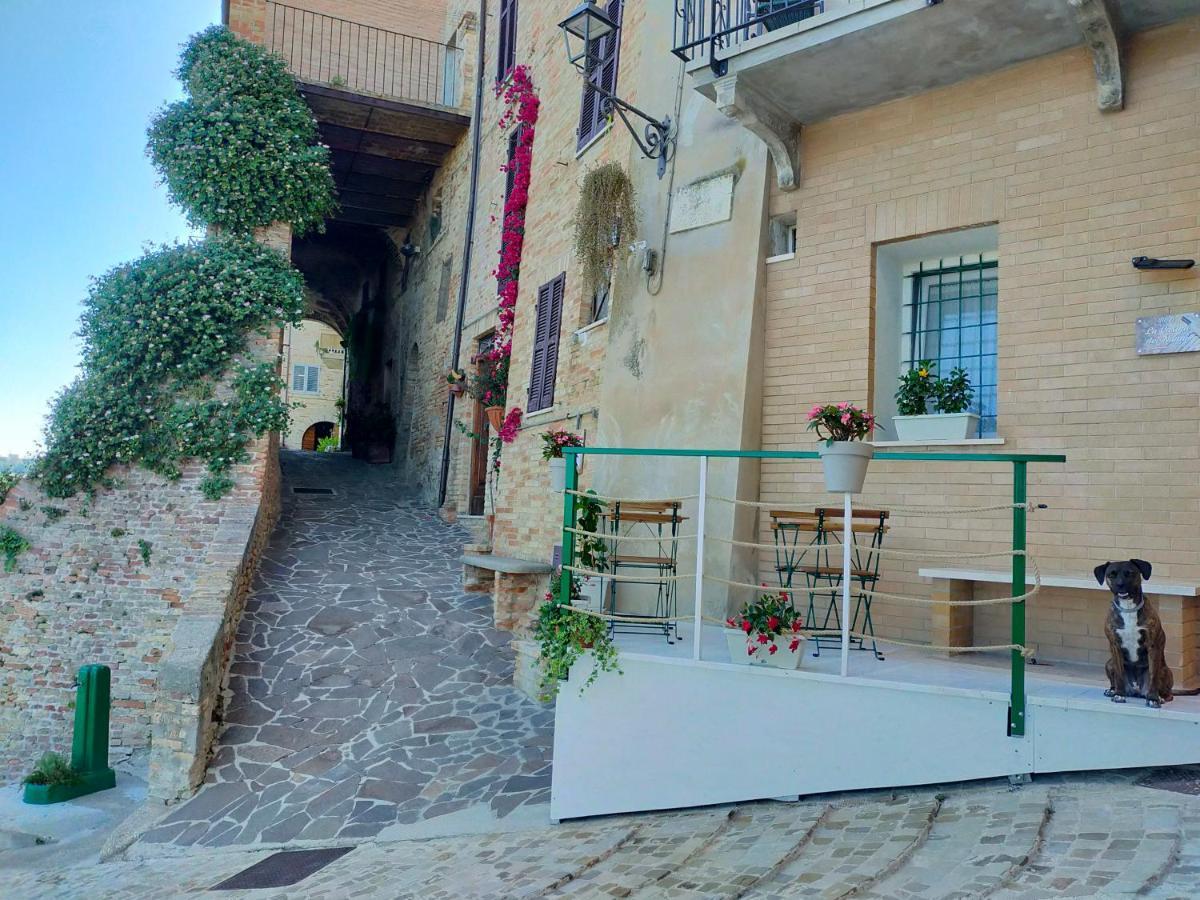 BnB La Casina dei Nonni Campofilone Esterno foto