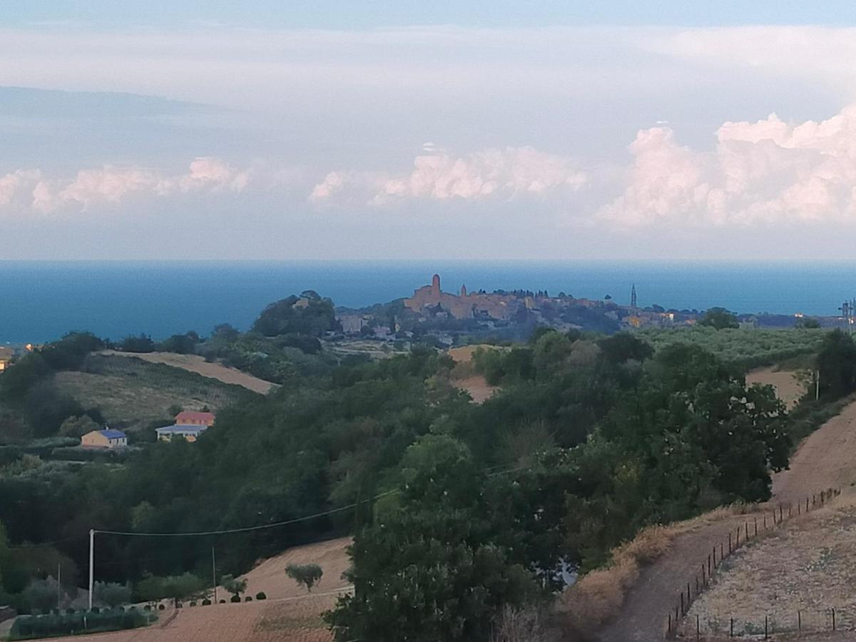 BnB La Casina dei Nonni Campofilone Esterno foto