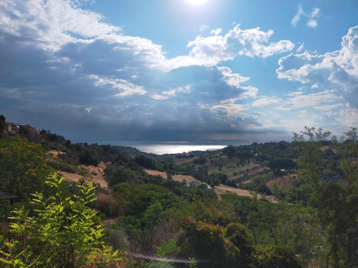 BnB La Casina dei Nonni Campofilone Esterno foto
