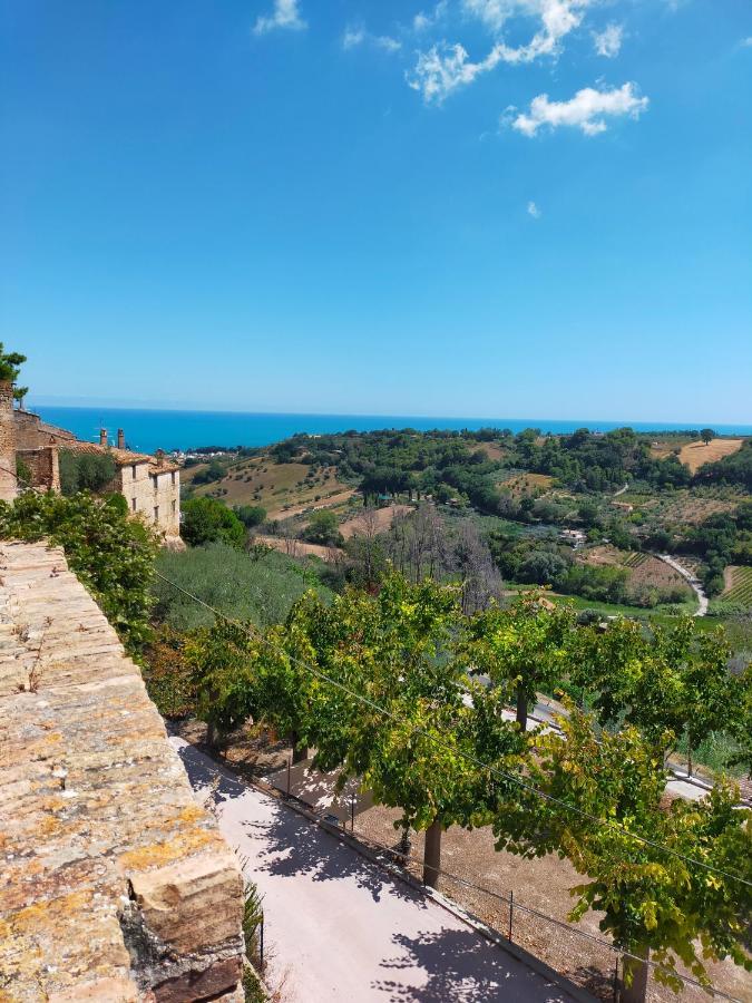 BnB La Casina dei Nonni Campofilone Esterno foto