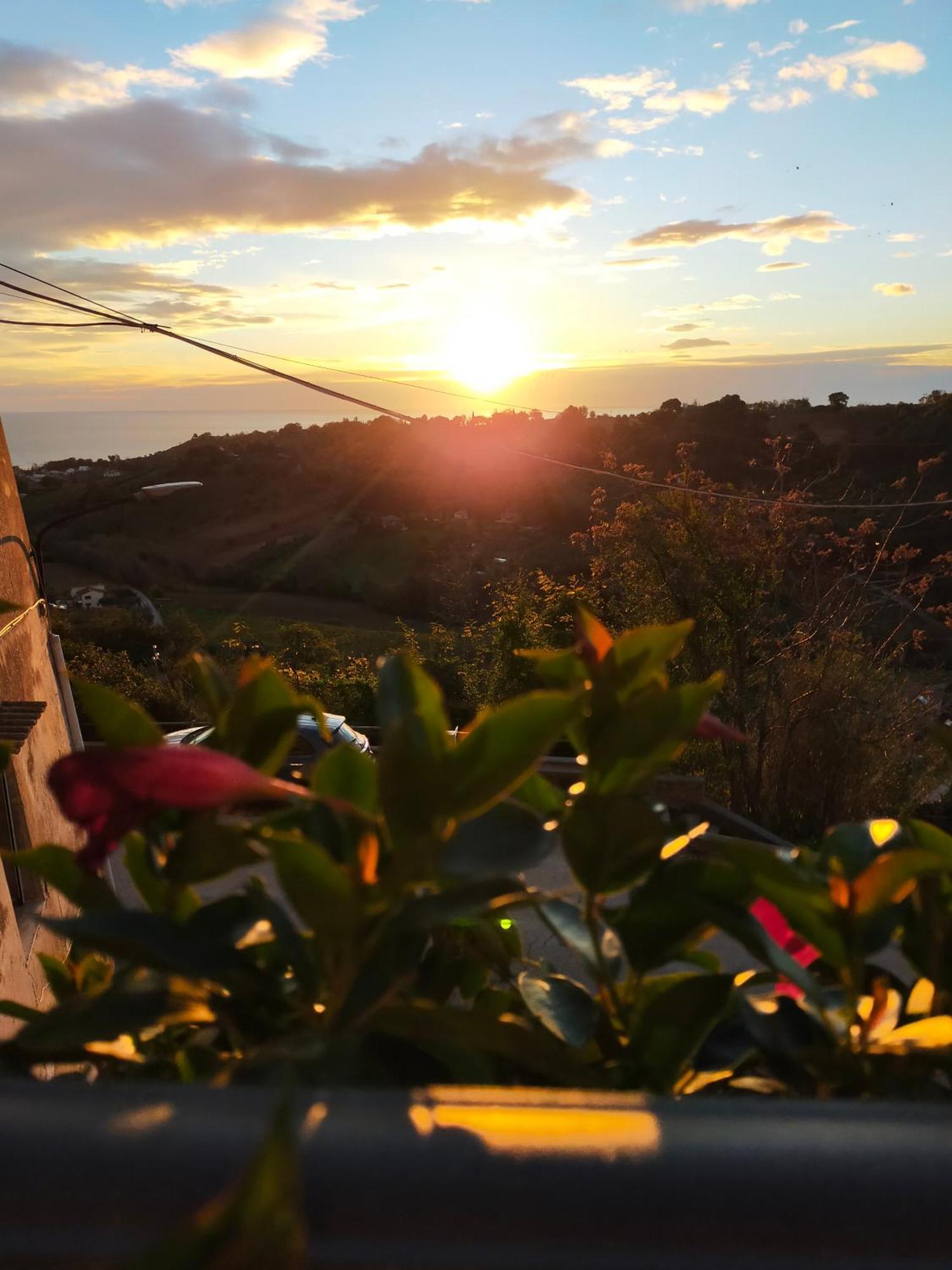 BnB La Casina dei Nonni Campofilone Esterno foto